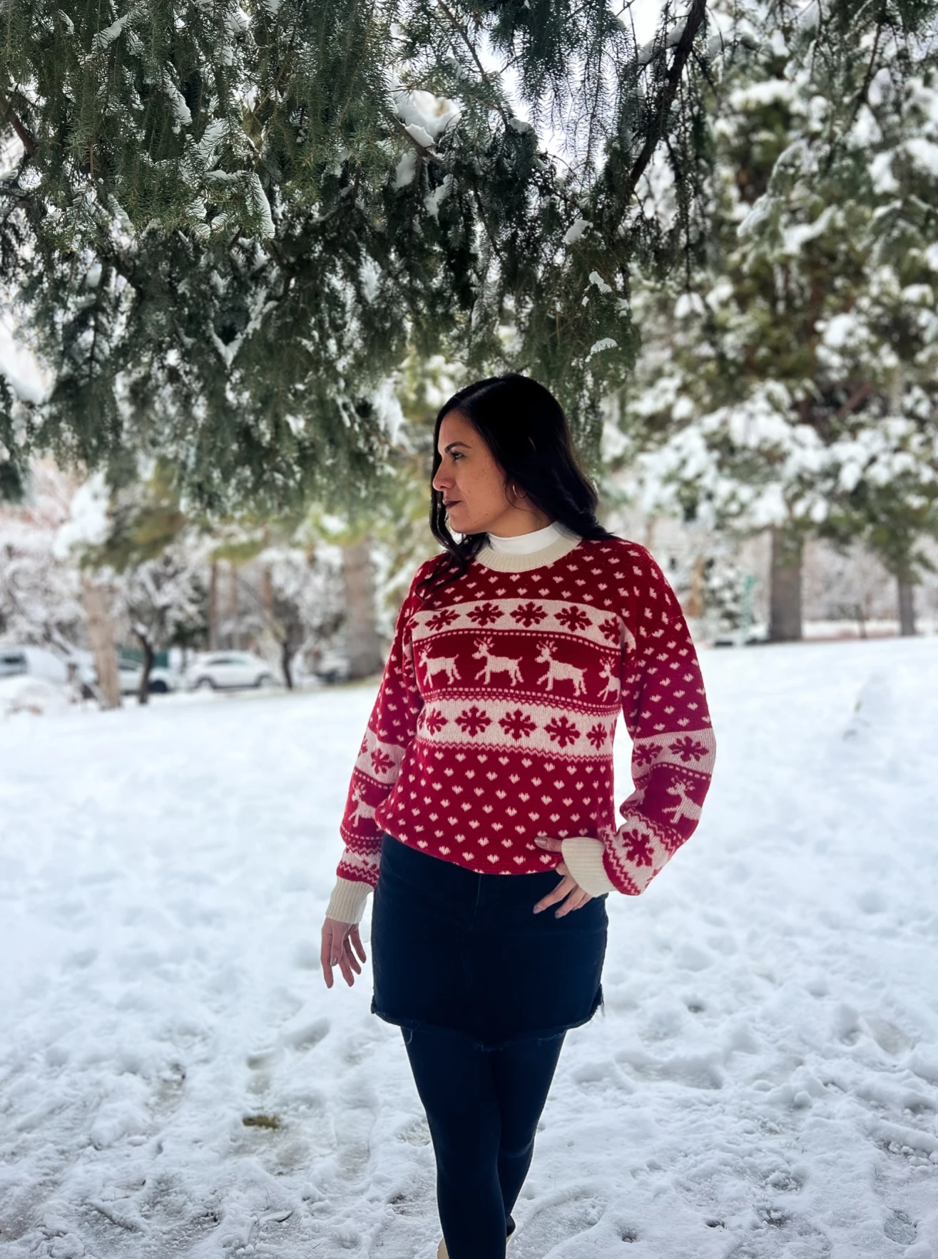 baby alpaca winter sweater